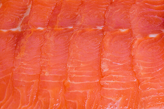 Lightly salted salmon fillet cut into thin pieces. Red fish macro photo as background.