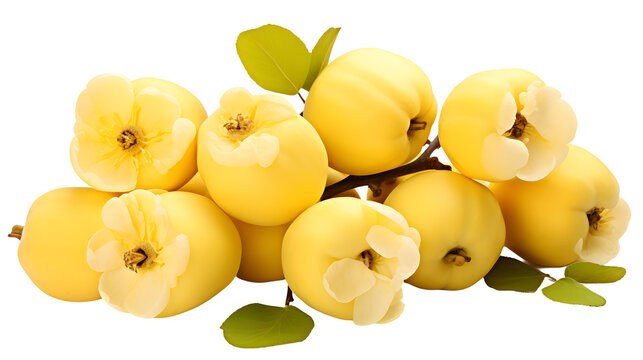Quince, transparent background, high-resolution image, golden-yellow fruit, fragrant aroma, quince clipart, culinary ingredient design, unique produce illustration