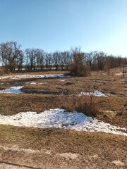 steppe in winter