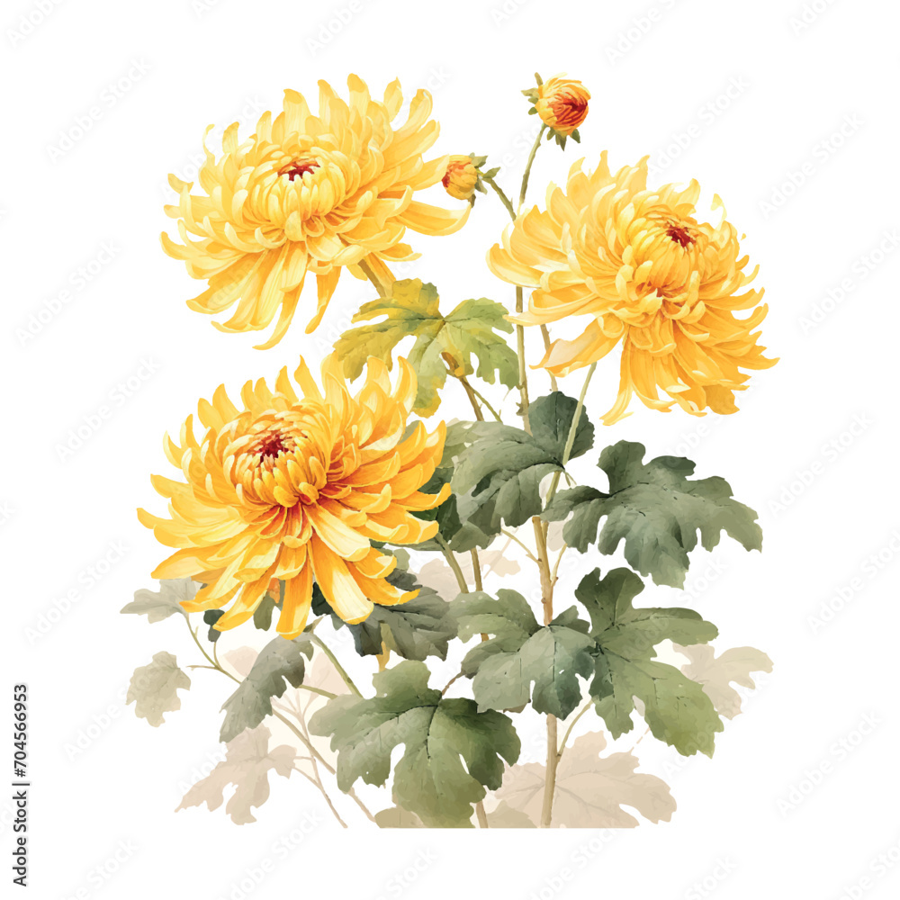 Poster Meticulous yellow chrysanthemum, Chinese art, white background