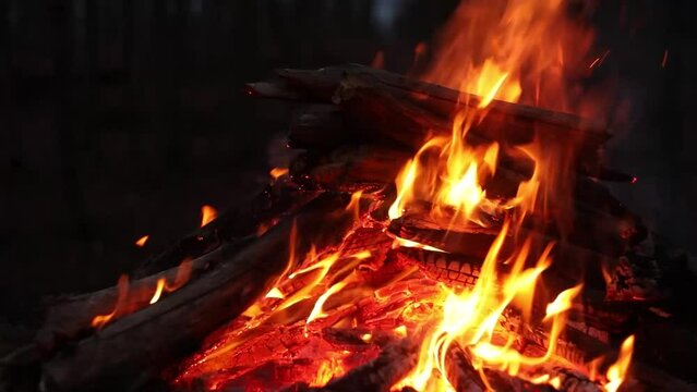 The Dance of Flames: A Spellbinding Forest Bonfire Adventure
