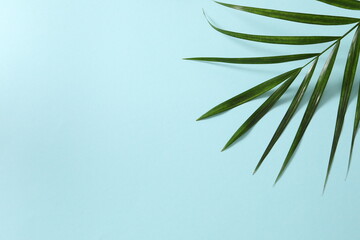 green leaves background