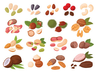 Nuts and seeds. Cartoon cashew, coconut, peanut, almond, walnut, hazelnut and pistachio nuts, cocoa and coffee beans, organic snack food flat vector illustration set. Tasty seed and nuts collection