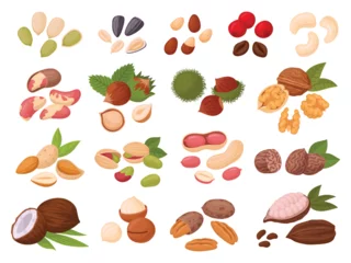 Fotobehang Nuts and seeds. Cartoon cashew, coconut, peanut, almond, walnut, hazelnut and pistachio nuts, cocoa and coffee beans, organic snack food flat vector illustration set. Tasty seed and nuts collection © GreenSkyStudio