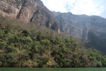 The cliffs and vegetation in the Sumidero Canyon/Canon del Sumidero, Chiapas, Mexico
