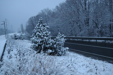 Snowy Road near the forest, winter background