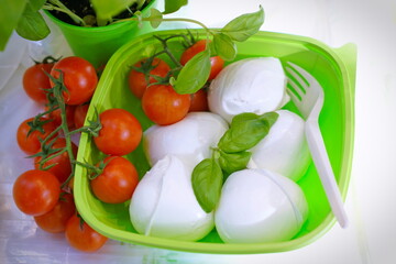 buffalo mozzarella cheese with raw tomatoes