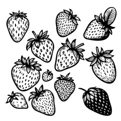 Seamless tropical pattern with strawberry. Tasty fruit fresh black white sketch illustration
