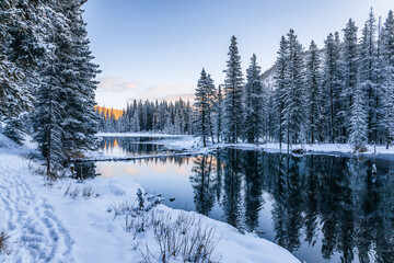 Snowy winter landscape in a forest with a lake