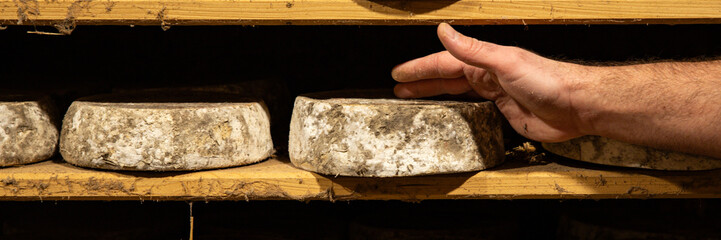 aged cheese in the cellar ready to eat eating cooking appetizer meal food snack on the table copy...