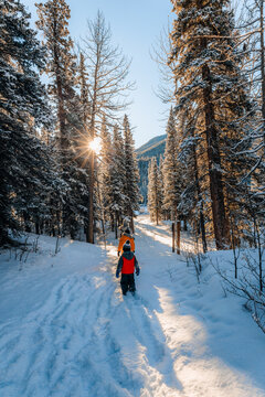 Woman and children going for a walk in a snowy forest on a sunny winter morning in the Rocky Mountains in Alberta, Canada