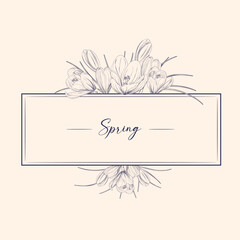 Frame of spring crocus design elements hand drawn. Square frame for text in vvodeb and spring design.