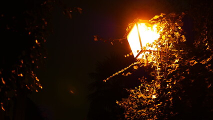 Petite ruelle française dans la nuit, avec lampadaires éclairage jaune allumés, avec un peu de...