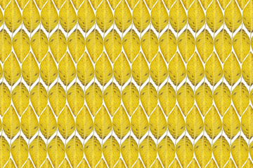 Padrão, textura com folha amarela, de planta decorativa, png com fundo transparente.