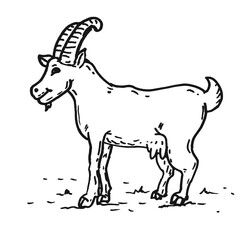 Hand drawn a Cute goat on a white
