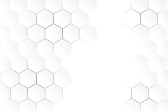 gray white hexagon background vector