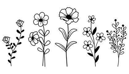 Hand Drawn Wildflowers Vector Collection minimalist style vector illustration isolated on white - obrazy, fototapety, plakaty