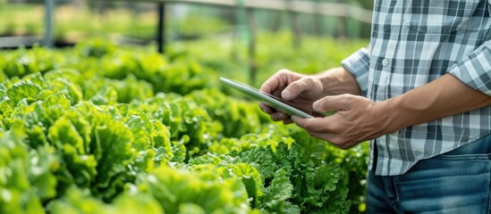 Image of farmer using tablet to monitor vegetables in greenhouse.