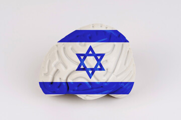 On a white background, a model of the brain with a picture of a flag - Israel