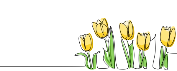 Photo sur Plexiglas Une ligne One line tulips flower continuous single line drawing. No background illustration. 