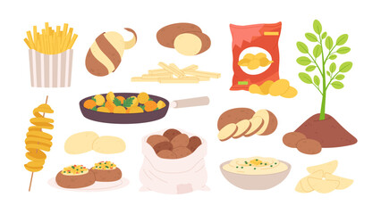 Cartoon potato raw. Potatoes products and meals, fries and chips, baked in oven and mash. Vegetable growth through ground, racy vector elements