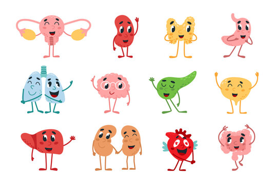 Cute internal organs. Funny lungs, liver and brain, stomach and heart in love. Childish book organ character, adorable mascots classy vector set