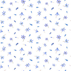 Blue snowdrops. Scilla, forest flowers. Watercolor seamless pattern isolated on white. Flower spring illustration for the design of wrapping, textile, postcards, greetings, room decor, print