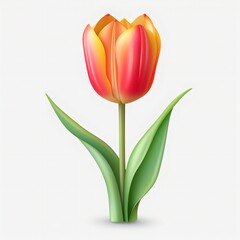 Single tulip flower with green leaves