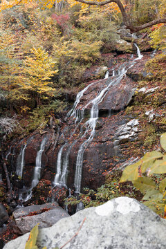 Fall Waterfall