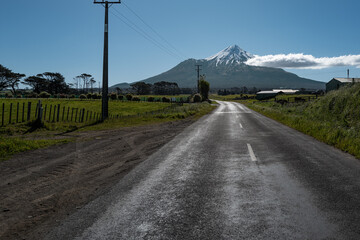 New Zealand, spring