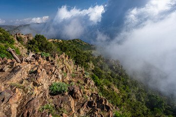 A view on the Raidah Nature Sanctuary from Jabal Sawda, the highest peak in Saudi Arabia.