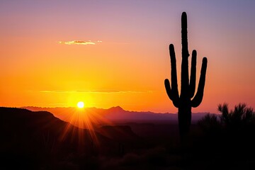 Lone cactus silhouetted against a desert sunset - obrazy, fototapety, plakaty