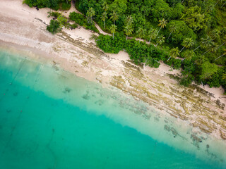 Aerial view of a tropical sandy, beached fringed by palm trees