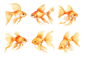 Goldfish isolated watercolor set. Fish abstract characters, underwater sea, ocean animals. Decorative vector marine elements