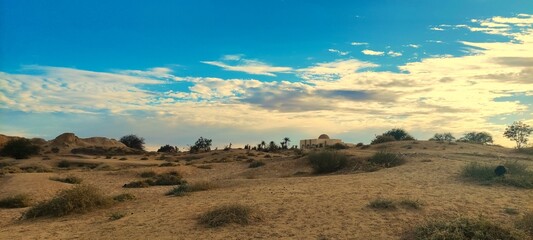 Naklejka premium Mosque in the desert under the open sky