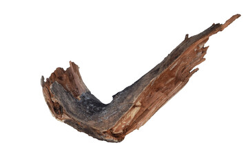 birch bark isolated on white background