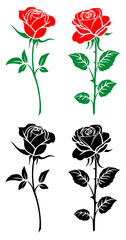 Premium Rose Vector Collection: Elegant Floral Illustrations.