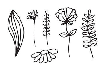 Set of handmade flowers and leaves in Doodle style.