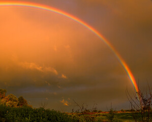 La post tormenta en los humedales crea arcoíris que se desvanecen con la caída del sol.