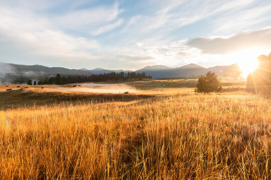Golden Morning On the Ranch