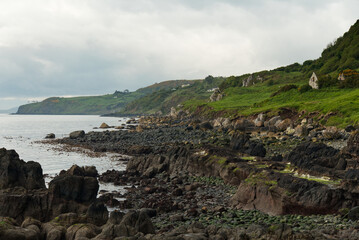 Wohnhäuser und Wiesen in einer Bucht am Gobbins Cliff