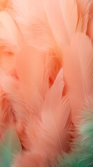 Soft feathers in pastel colors in shades of pink, peach, and green. Feathers texture background. Use as Backdrops for design projects, Fashion or decor. Concept of Softness and elegance. Vertical