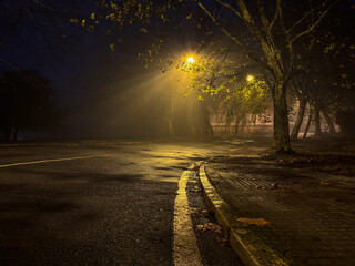 Whispers of Autumn: A Misty Evening's Luminous Embrace on a Lonely City Street
