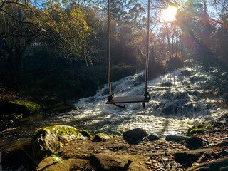 Rustic Serenity: Swing Over the Stream