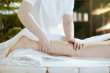 Obraz na płótnie Canvas Closeup on massage therapist in spa salon massaging clients leg