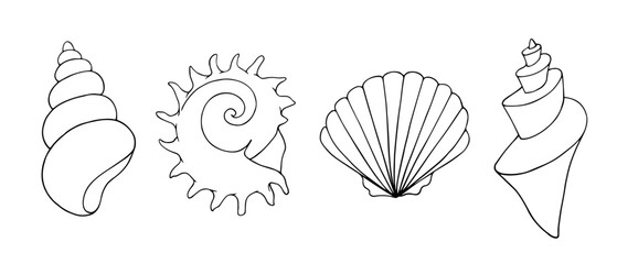 A set of linear sketches, contour coloring of seashells. Vector graphics.