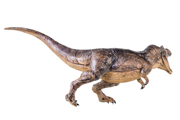 Trex Tyrannosaurus dinosaur on isolated background