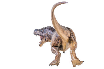 Trex Tyrannosaurus dinosaur on isolated background
