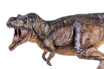 Trex Tyrannosaurus dinosaur on isolated background