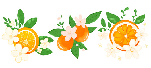 set of orange with leaves and flowers clipart on a transparent background